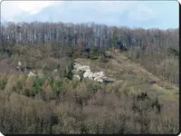 Weiherde.webp
