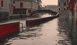 v45eg34fgdffdg.webp