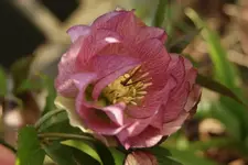 DSC08214.webp