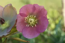 DSC08219.webp