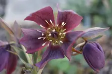 DSC08220.webp