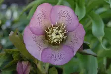 DSC08221.webp
