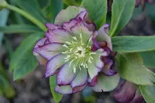 DSC08256.webp