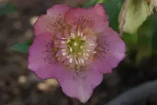 DSC08190.webp