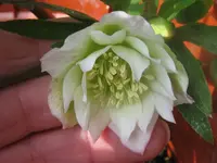 019_1024x768.webp