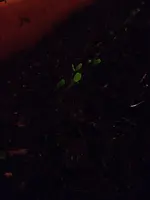 image.webp image.webp