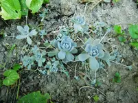 CIMG7872.webp