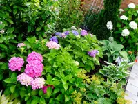 Garten8.webp