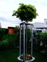 Garten10.webp