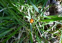 P1010320.webp