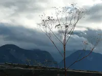 VordemSturm1a.webp