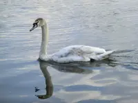 CIMG7087.webp