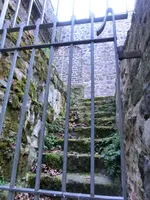CIMG7110.webp