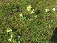 IMG_4581A.webp