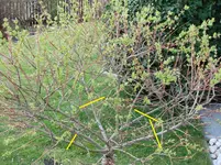 K1600_DSC09102Cut.webp