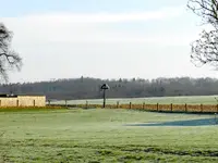Frühlingsmorgen_0015.webp