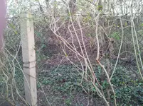20140326_180948.webp