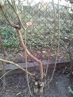 20140326_175949.webp