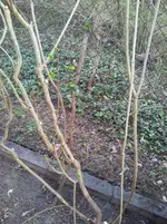 20140326_180000.webp