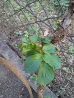 20140326_165831.webp