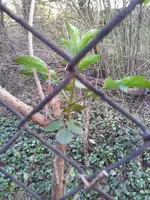 20140326_165842.webp