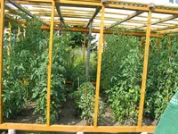 Unterstand-21_8_13.webp