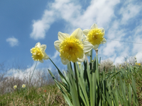 CIMG6713.webp