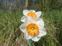 CIMG6722.webp
