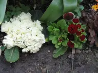IMG_0861.webp