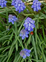 P1010316.webp