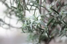 IMG_8506.webp IMG_8506.webp