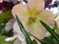 P1110716.webp