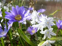 P1110726.webp