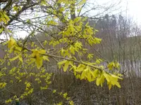 P1110751.webp