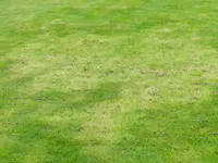 DSCN4795.webp