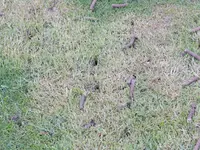 DSCN4803.webp