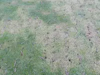 DSCN4804.webp