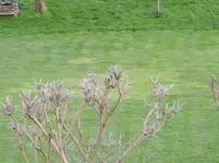 DSCN4817.webp