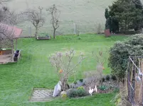 DSCN4830.webp
