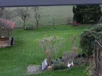 DSCN4840.webp