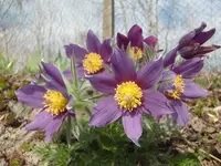 CIMG6589.webp