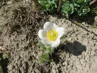 CIMG6176.webp