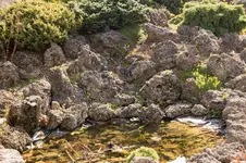 Struth-Zella-1356.webp