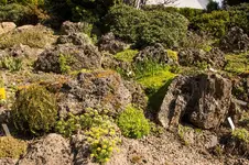 Struth-Zella-1365.webp