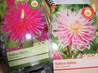 Bild 012.webp
