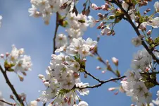 DSC_1042.webp