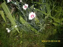 Sortieren 136.webp