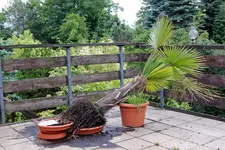 IMG_2377_bearbeitet-1.webp