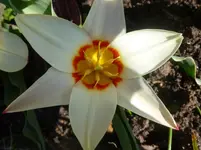 P1110769.webp