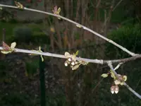 P3260239.webp